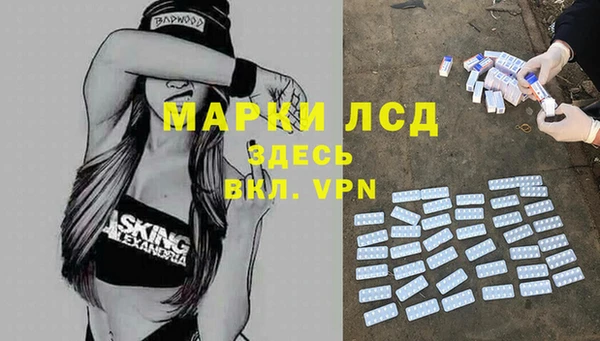 спиды Горнозаводск