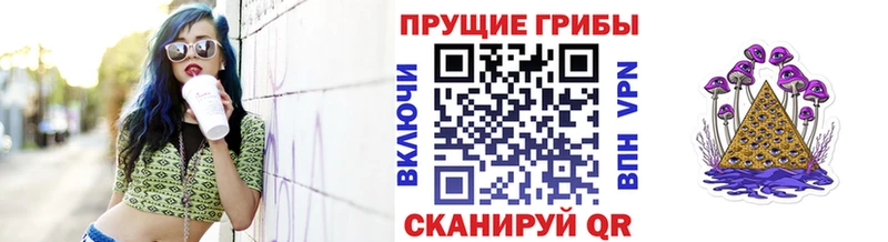 купить  цена  Крымск  Псилоцибиновые грибы Psilocybe 